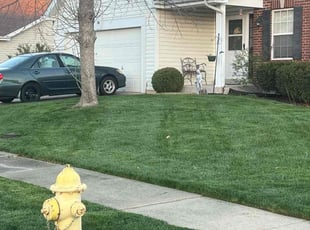 Vijaya S.'s grass cutting service result
