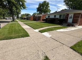 Michael G.'s grass cutting service result