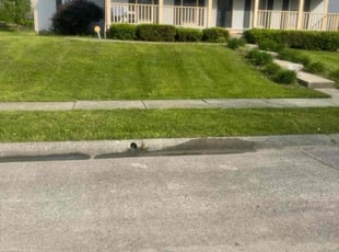 Abu A.'s lawn service service result