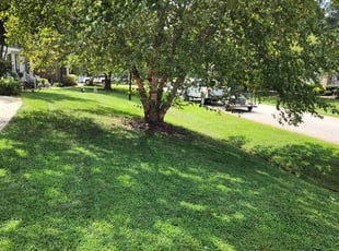 Limin C.'s grass maintenance service result