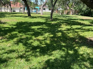 Nettie L.'s lawn service service result