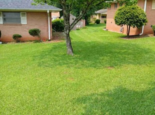 David S.'s lawn maintenance service result