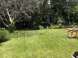 Brian J.'s turf care service result