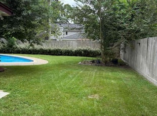 Mike K.'s turf maintenance service result