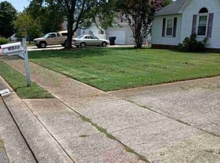 Haley R.'s yard service service result