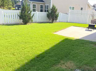 Kimberly E.'s turf care service result