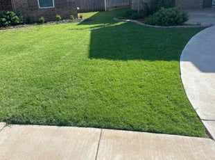 Rhiannon S.'s lawn care services service result