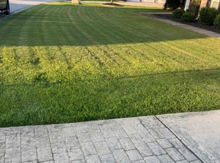 Stacey F.'s grass maintenance service result