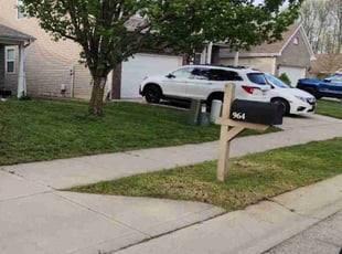 Ronni D.'s turf care service result