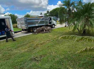 Judy O.'s Cleanups service result