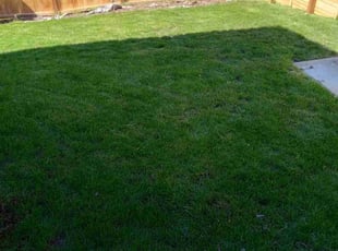 Margret R.'s grass maintenance service result