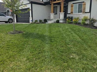 Molly T.'s lawn care services service result