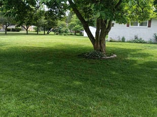 Yvonne M.'s turf maintenance service result