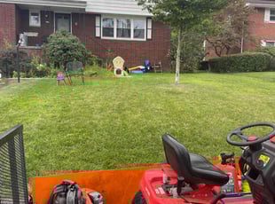 Vicki S.'s lawn maintenance service result
