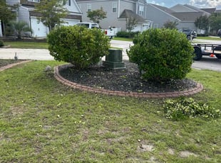 Connor M.'s lawn maintenance service result