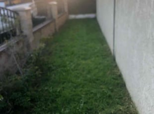 Kim J.'s grass cutting service result