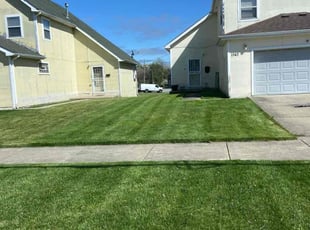 Mr. D.'s turf maintenance service result