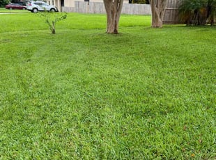 Bonnie E.'s grass maintenance service result