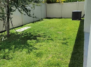 Michael W.'s lawn care service result