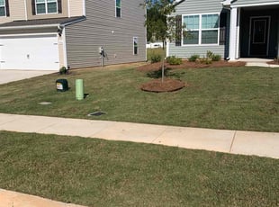 Glynnis P.'s grass maintenance service result