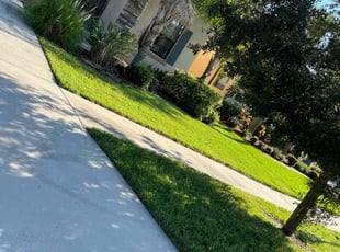 Callum C.'s grass maintenance service result