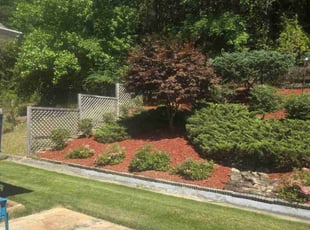 Carla M.'s lawn maintenance service result