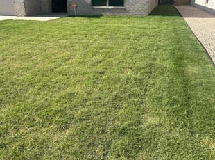 Victor G.'s lawn service service result