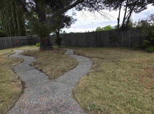 Anthony S.'s grass maintenance service result
