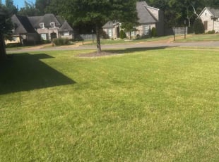 Benjamin M.'s turf maintenance service result