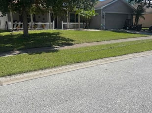 Divya S.'s lawn service service result