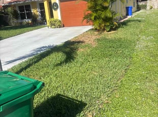 David S.'s lawn service service result