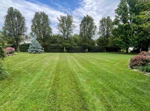 Aaron R.'s grass cutting service result