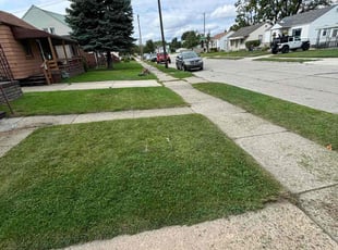 James C.'s grass maintenance service result