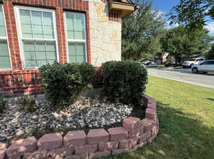 Ana S.'s Bush Trimming service result