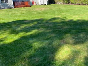 Darren C.'s gardening service service result