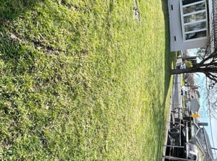 Linda R.'s turf maintenance service result