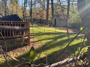 Shavon A.'s turf maintenance service result