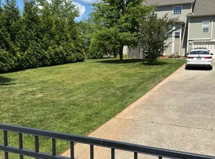Lina B.'s turf care service result