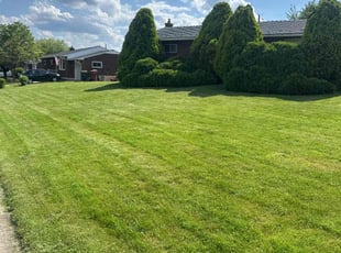 Jim B.'s grass maintenance service result