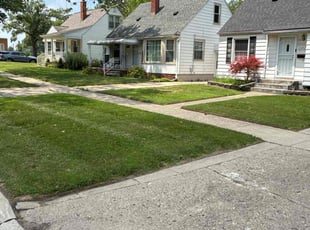 Lisa B.'s turf care service result