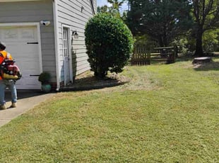 Ardice G.'s Bush Trimming service result