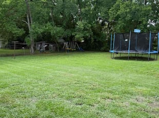 Monic B.'s lawn care service result