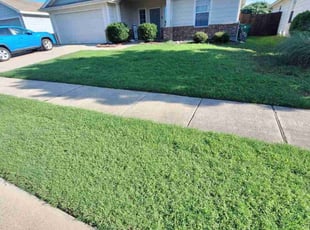 Anthony S.'s lawn maintenance service result