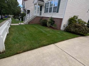 Paul E.'s lawn care service result