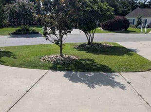 Christopher S.'s grass maintenance service result