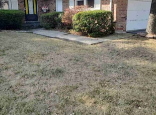 Jessica R.'s Bush Trimming service result