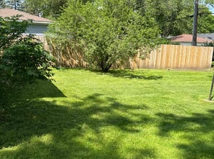 Jerrad R.'s lawn care services service result