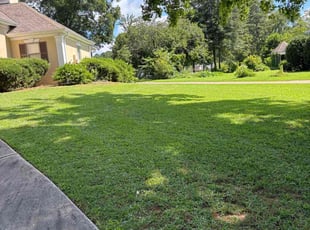 Otis S.'s lawn care services service result