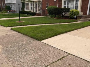 Natasha J.'s lawn maintenance service result
