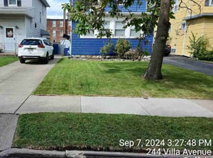 Marsha D.'s lawn maintenance service result